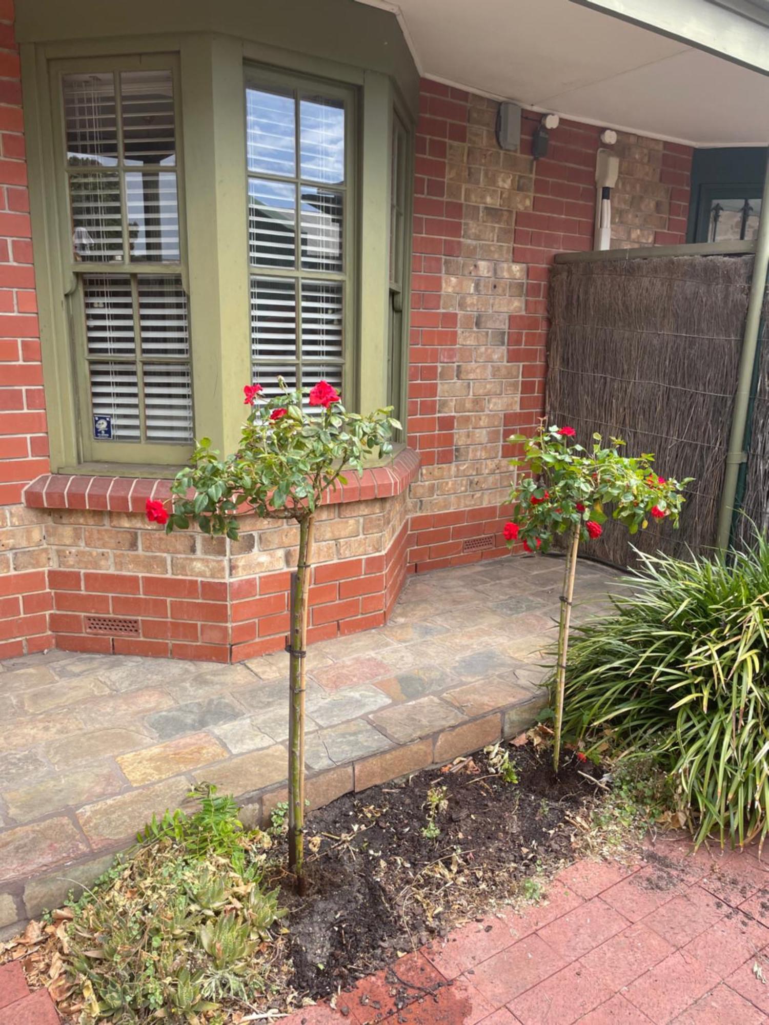 Adelaide Style Accommodation-Getaway In North Adelaide- Close To City Exterior foto